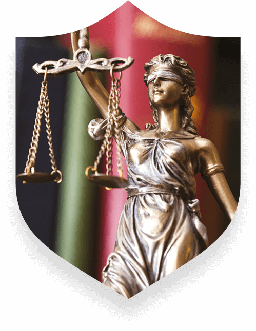 Pro Bono